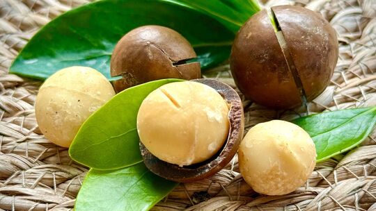 Macadamia-Nüsse