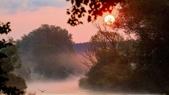 Früh morgens sind die Flüsse – wie hier die Donau – im Herbst oft in Nebel gehüllt.