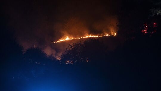 Das schnelle und gezielte Eingreifen der Feuerwehr verhinderte, dass sich die Flammen auf eine größere Fläche ausbreiteten. Das schnelle und gezielte Eingreifen der Feuerwehr verhinderte, dass sich die Flammen auf eine größere Fläche ausbreiteten.