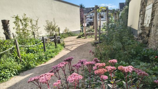 Die Aufgaben des Sinziger Bauhofs sind vielfältiger geworden. Auch die Pflege des neuen Piko-Parks am Ende der Bachovenstraße ge