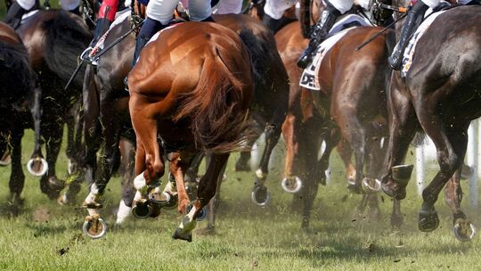 Galopp-Rennen in Hamburg-Horn Galopp-Rennen in Hamburg-Horn