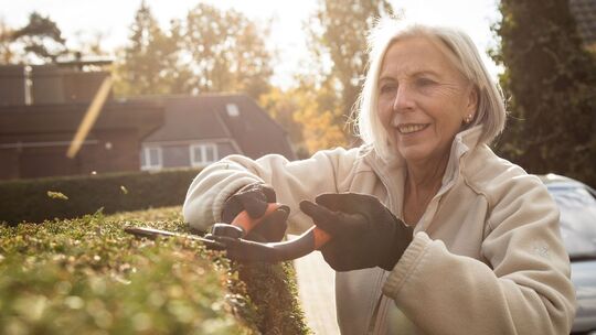 Eine Frau schneidet eine Hecke Eine Frau schneidet eine Hecke