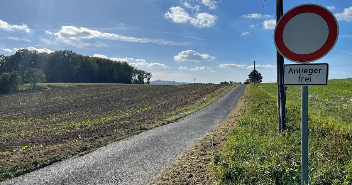 Endangered bird species identified: New industrial park in Montabaur ...