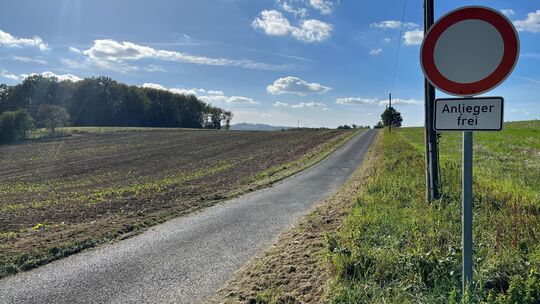 Auf dem Beulköpfchen brütet die gefährdete Goldammer. Der Bebauungsplan für das geplante Gewerbegebiet musste deshalb erneut übe