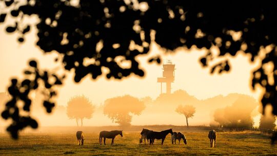 Herbst in Niedersachsen