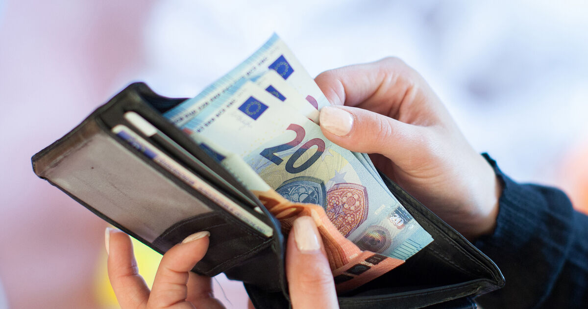 Statisticians take stock: Public sector in Westerwald can reduce debt