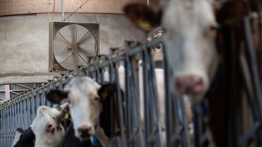 Trockenheit in der Landwirtschaft