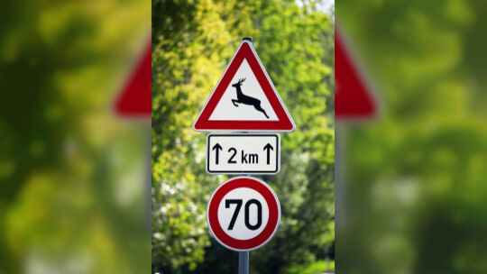 Verkehrsschild warnt vor Wildwechsel: Auf der L378 kam es zu einem schweren Unfall, als ein Motorradfahrer mit einem Reh kollidi