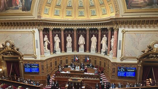 Französischer Senat wird zur Hälfte neu gewählt