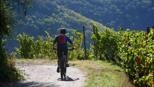 Sonnenschein in Rheinland-Pfalz Sonnenschein in Rheinland-Pfalz