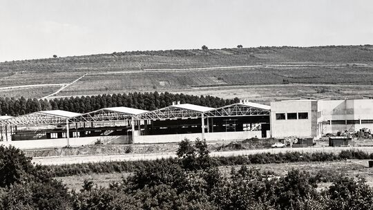 So sah das Kreuznacher Michelinwerk Anfang September 1966 aus, als der erste Reifen hier produziert wurde.