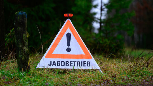 Wie häufig es zu Jagdunfällen kommt, ist nicht leicht zu beantworten. (Symbolbild)