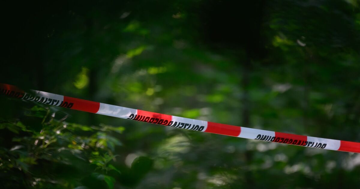 Body found in rented apartment: Cause of death in Heimbach-Weis case ...