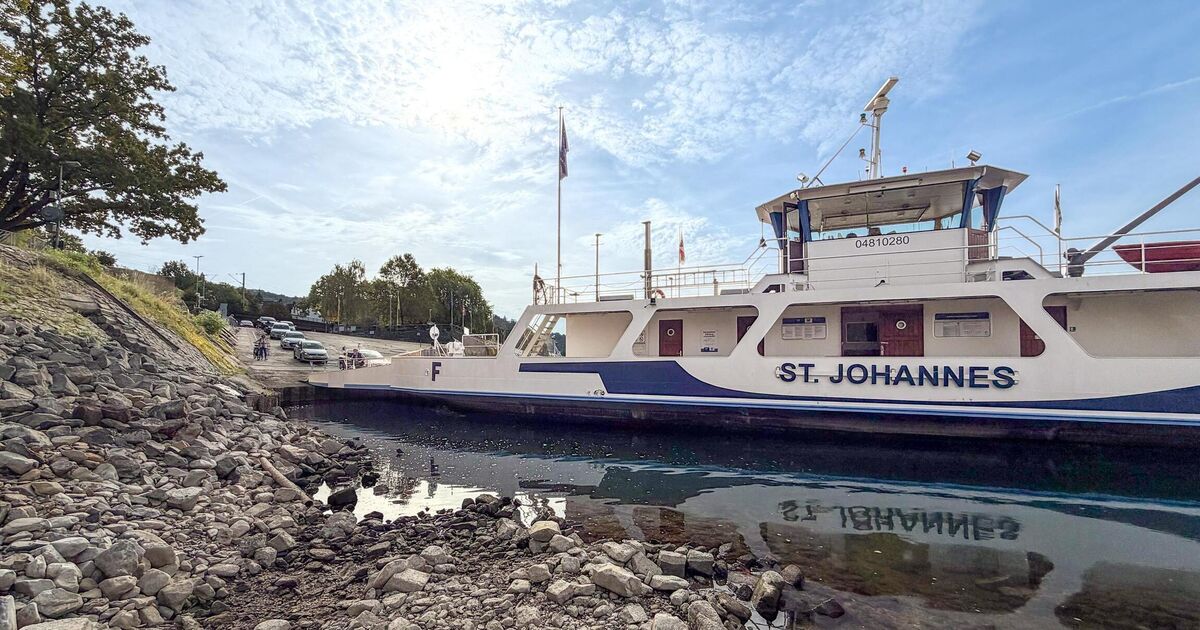 Two ferries have to pause: Low Rhine water level causes rush on Linz ferry