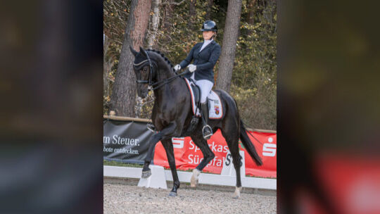 Jascha Bitterlich und San D’Oro boten bei der Deutschen Meisterschaft der Amateure im Dressurreiten eine glänzende Leistung.