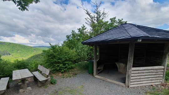 Auch viele Wanderwege im Bereich des Mayener Stadtwaldes am Stadtteil Kürrenberg (hier ein Symbolfoto) sind durch die Windhose b