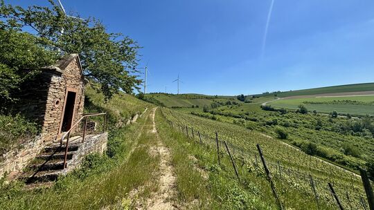 Dieses Wingertshäuschen findet sich zwischen Oberndorfer Feuersteinrossel und Beutelstein und somit am südlichsten Zipfel des Na