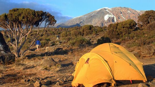 Das «Shira Camp» auf dem Weg zum Kilimandscharo Das «Shira Camp» auf dem Weg zum Kilimandscharo