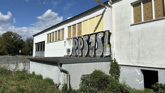 Das ehemalige Stieffenhofer-Areal in Koblenz-Güls ist ein verlassener Ort. Hier sieht man, wie sich das Grün zwischen Gebäudetei