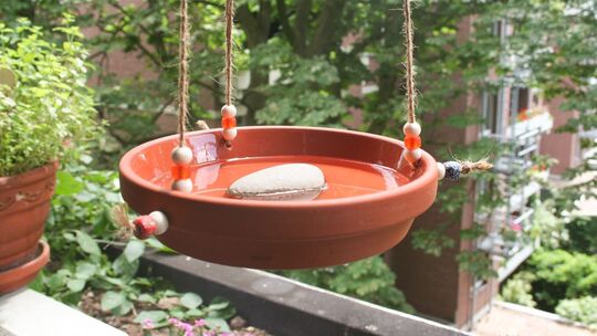 Eine Vogeltränke aus einem Tonuntersetzer Eine Vogeltränke aus einem Tonuntersetzer