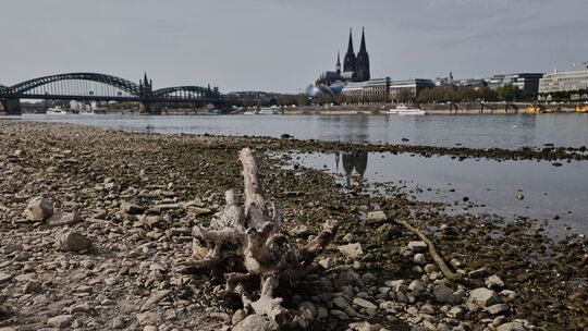Niedrigwasser am Rhein in Köln Niedrigwasser am Rhein in Köln