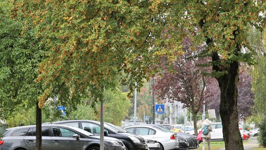 Wie viele Stellplätze zu einem Haus oder einer Wohnung gehören müssen, ist in der Stellplatzsatzung geregelt. Weil diese Regel a