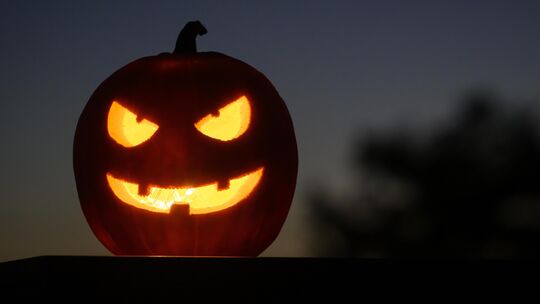 Halloween steht vor der Tür und im Kreis Cochem-Zell warten einige Events auf große und kleine Gursel-Fans. (Symbolfoto).