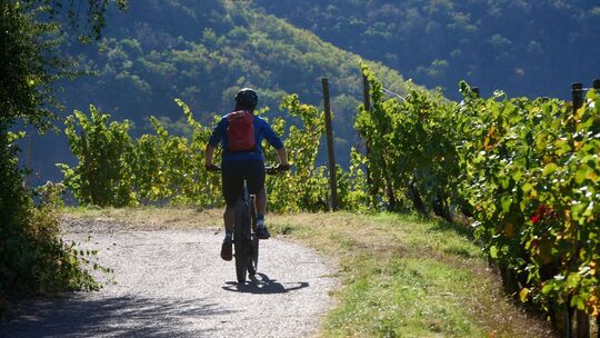 Wetter in Rheinland-Pfalz
