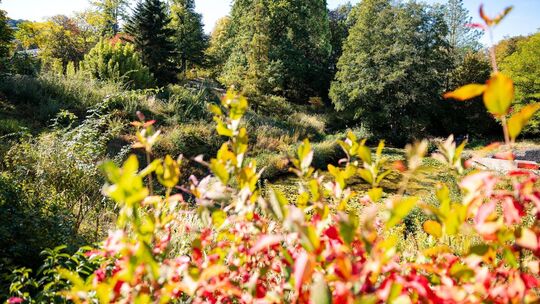 Herbst in Saarland