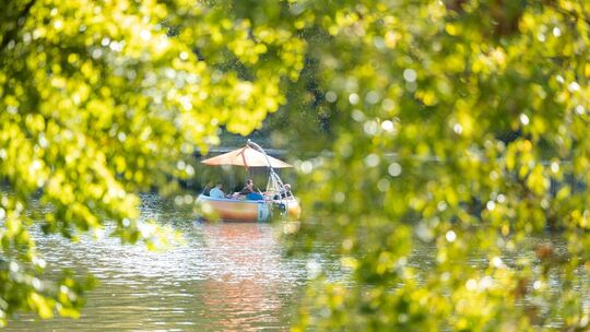 Herbst in Saarland Herbst in Saarland