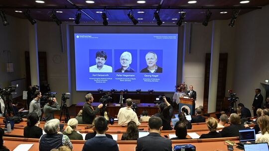 Bekanntgabe Nobelpreis - Physiologie oder Medizin