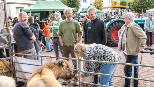 Herbst- und Bauernmarkt in Asbach