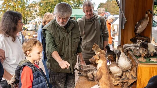 Auf dem Herbst- und Bauernmarkt in Asbach kann die ganze Familie vieles entdecken.