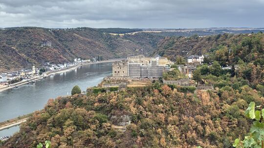 Freie Sicht auf die Burg Rheinfels haben Spaziergänger, Radfahrer und Wanderer am Wanderweg Werlauer Pilz.