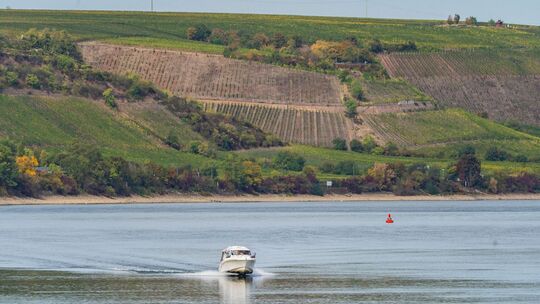 Niedrigwasser im Rhein