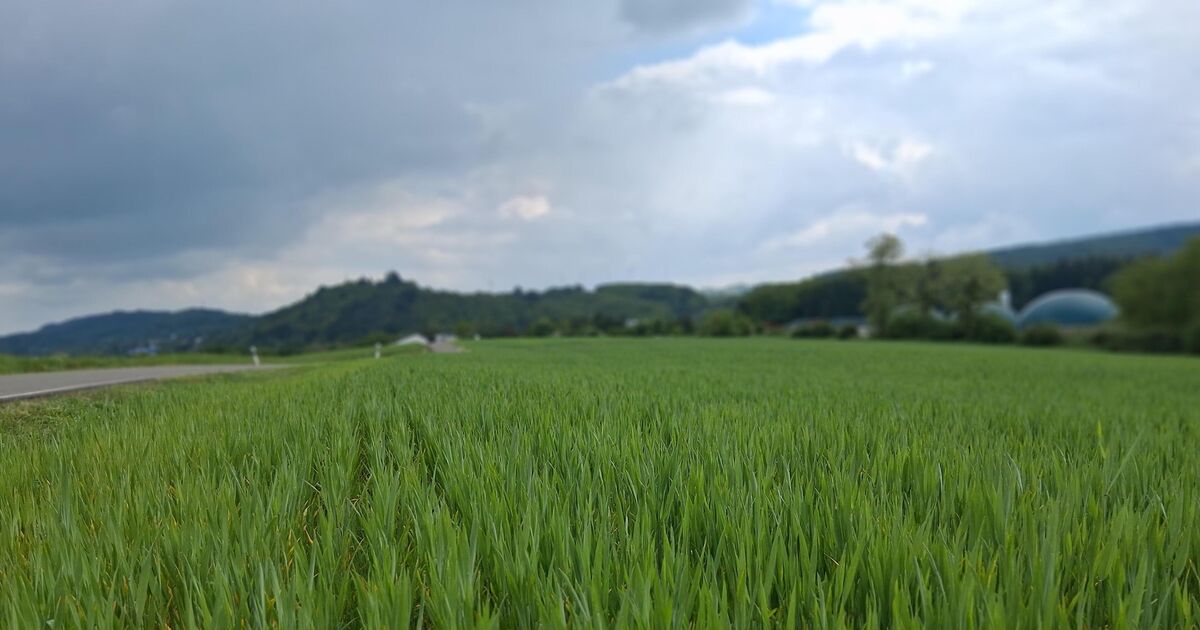 PV-Anlage und Windräder: Stadtrat macht Weg für Energiepark Birkenfeld ...