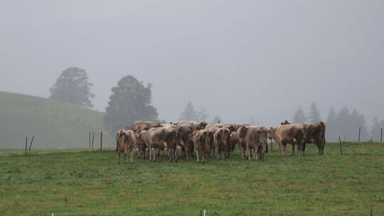 Wetter in Bayern Wetter in Bayern