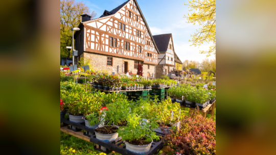 # Bildbeschreibung

Das Rheinland-Pfälzische Freilichtmuseum Bad Sobernheim präsentiert seinen Garten- und Pflanzenmarkt vor his