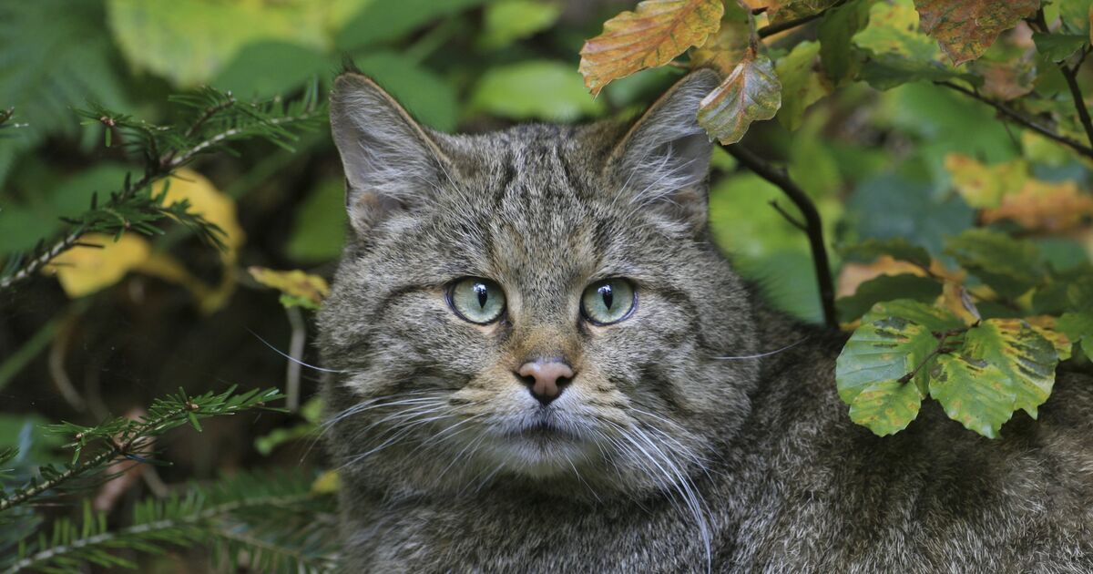 From the Wissen town council: Nature-oriented new development area and the ...