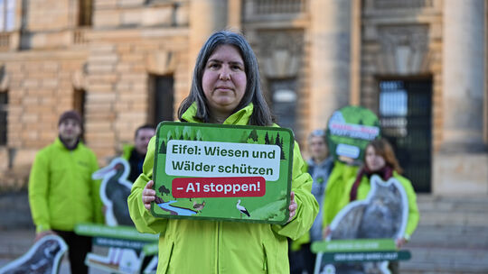Der BUND Rheinland-Pfalz hat Verfassungsbeschwerde gegen das Urteil zum A1-Lückenschluss in der Eifel eingereicht. Die Landesvor