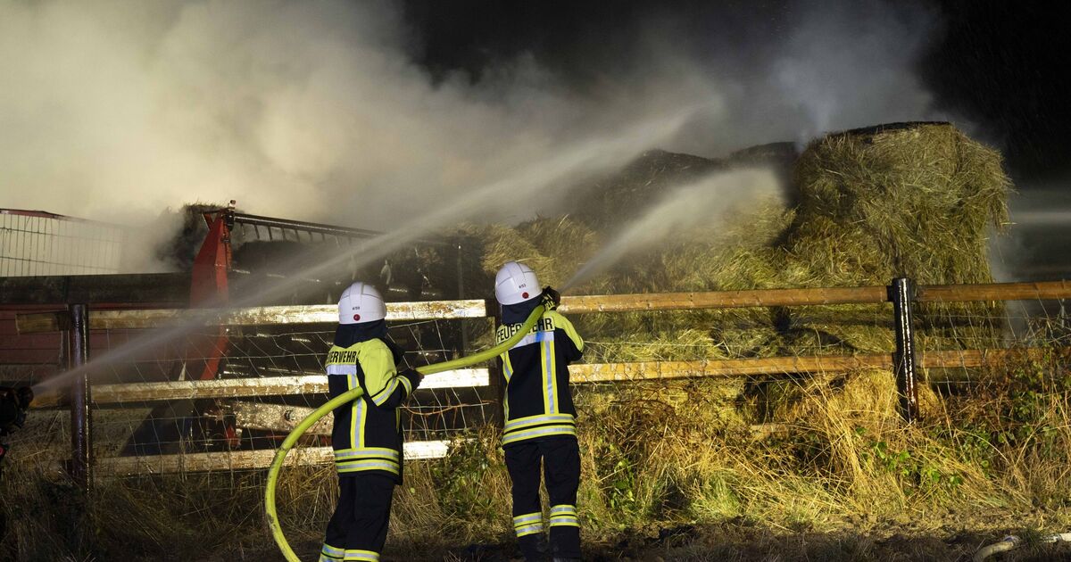 Major operation in Hattgenstein: 50 hay bales were destroyed by flames