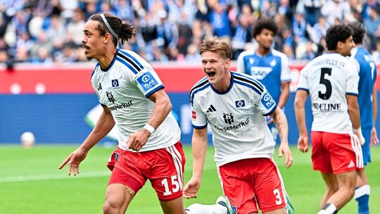 TSG 1899 Hoffenheim - Hamburger SV