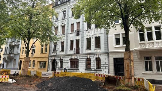 Zwei Linden am St.-Josef-Platz in Koblenz müssen vielleicht am Montag gefällt werden.