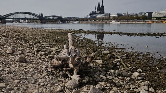 Niedrigwasser am Rhein in Köln