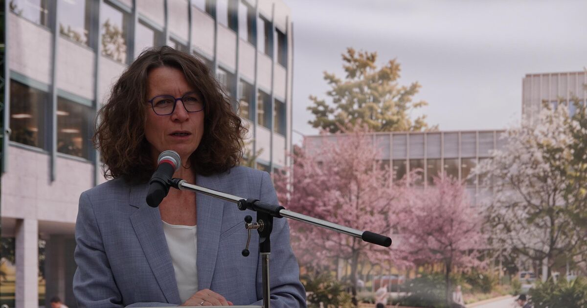 After the Chancellor's rejection of the Ahr Valley project: Weigand ...