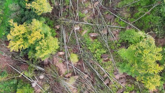 Luftaufnahme der Tornadoschäden zwischen Weitersburg und Höhr-Grenzhausen.
