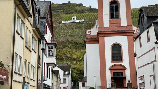 Von der Altstadt aus blickt man auf die Weinberge mit der berühmten Lage Zeller Schwarze Katz.