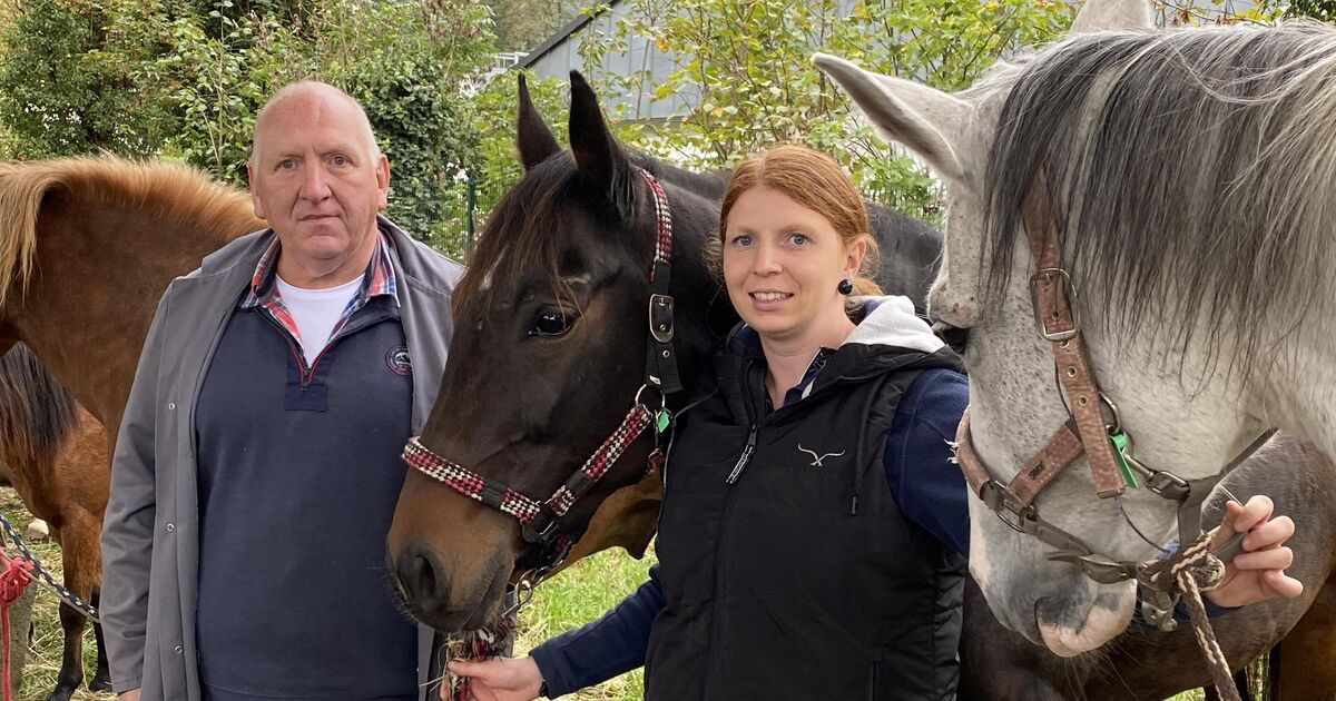 Tradition at the Lukasmarkt: Mayen Horse Market: Neighing, haggling ...