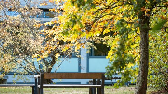 Herbst im Saarland