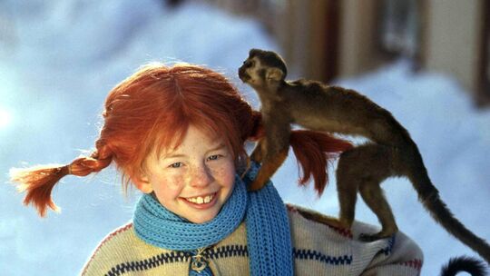 Pippi Langstrumpf machte sich die Welt, wie sie ihr gefiel. Nach diesem Prinzip scheinen einige Menschen ihre Wohnumgebung gesta
